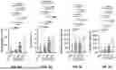 Fig. 28 - BIOMATERIALS FOR IMPROVING BRAIN HEALING AFTER STROKE AND METHODS OF USING SAME