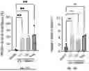 Fig. 44 - BIOMATERIALS FOR IMPROVING BRAIN HEALING AFTER STROKE AND METHODS OF USING SAME
