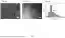 Fig. 05 - HIGH ENTROPY OXIDES AND METHODS OF SYNTHESIS AND USE THEREOF