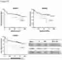 Fig. 42 - METHODS OF DIAGNOSING, DETERMINING THE PROGRESSION OF, AND TREATING A PROSTATE CANCER