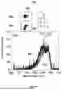 Fig. 09 - Method of Screening Microplastic Particles using a Hyperspectral Imaging Device