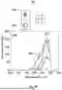 Fig. 10 - Method of Screening Microplastic Particles using a Hyperspectral Imaging Device
