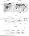 Fig. 05 - DESIGN AND CONTROL OF WHEEL-LEGGED ROBOTS NAVIGATING HIGH OBSTACLES