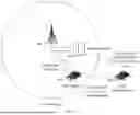 Fig. 09 - METHOD AND DEVICE FOR MINIMIZING IMPACTS OF SIDELINK TRANSMISSION IN USER EQUIPMENT DOWNLINK SLOTS