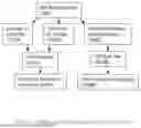 Fig. 10 - SUBARACHNOID FLUID MANAGEMENT METHOD AND SYSTEM WITH VARYING RATES