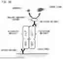 Fig. 05 - METHOD FOR MEASURING ACTIVITY OR CONCENTRATION OF ALKALINE PHOSPHATASE CONTAINED IN EXTRACELLULAR VESICLE IN SAMPLE, POLYPEPTIDE MOLECULE, METHOD FOR PRODUCING THE SAME, AND CALIBRATOR