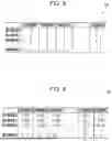 Fig. 09 - INFORMATION PROCESSING SYSTEM, NON-TRANSITORY COMPUTER READABLE MEDIUM AND METHOD