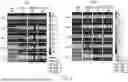 Fig. 06 - METHODS OF TREATING PATIENTS EXHIBITING A PRIOR FAILED THERAPY WITH HYPOIMMUNOGENIC CELLS