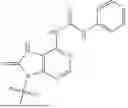 Fig. 167 - OLIGONUCLEOTIDE COMPOSITIONS AND METHODS THEREOF