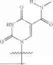 Fig. 294 - OLIGONUCLEOTIDE COMPOSITIONS AND METHODS THEREOF