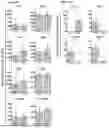 Fig. 14 - METHODS OF ON DEMAND IN VIVO PHOTOTAGGING
