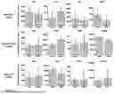Fig. 17 - METHODS OF ON DEMAND IN VIVO PHOTOTAGGING