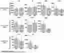 Fig. 18 - METHODS OF ON DEMAND IN VIVO PHOTOTAGGING