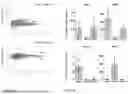 Fig. 19 - METHODS OF ON DEMAND IN VIVO PHOTOTAGGING
