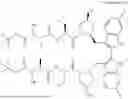 Fig. 08 - BIRINAPANT POLYMORPH H