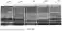 Fig. 06 - METHODS FOR WET ATOMIC LAYER ETCHING OF TUNGSTEN