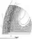 Fig. 09 - THREE-DIMENSIONAL POROUS STRUCTURES FOR BONE INGROWTH AND METHODS FOR PRODUCING