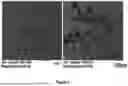 Fig. 05 - SYSTEM AND METHOD FOR PRODUCING ACTIVATED CARBON MATERIAL FROM COW DUNG
