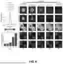 Fig. 07 - INCOHERENT HYBRID IMAGING SYSTEMS