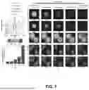 Fig. 08 - INCOHERENT HYBRID IMAGING SYSTEMS