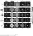Fig. 12 - INCOHERENT HYBRID IMAGING SYSTEMS