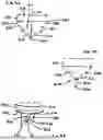 Fig. 09 - Corded Leaflet Free Edge Valve
