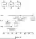 Fig. 07 - SCHEDULING METHOD FOR BLOCKCHAIN TRANSACTION, ELECTRONIC DEVICE, AND STORAGE MEDIUM