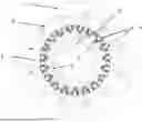 Fig. 01 - PERMANENT MAGNET MOTOR BASED ON MAGNETIC FIELD MODULATION PRINCIPLE AND OPTIMIZATION SYSTEM