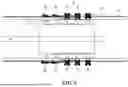 Fig. 07 - METHOD AND APPARATUS FOR DETERMINING BRONCHIAL DENERVATION
