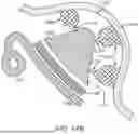 Fig. 26 - METHODS FOR DETERMINING ATTACHMENT PLACEMENT APPLIANCE GEOMETRY