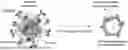 Fig. 01 - CONTROLLED EXPRESSION OF THERAPEUTICALLY RELEVANT BIOMOLECULES FOR LUMEN-LOCALIZED PAYLOADS IN BIOMIMETIC NANOVESICLES AND EXOSOMES