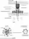Fig. 02 - CONTROLLED EXPRESSION OF THERAPEUTICALLY RELEVANT BIOMOLECULES FOR LUMEN-LOCALIZED PAYLOADS IN BIOMIMETIC NANOVESICLES AND EXOSOMES