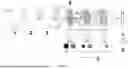 Fig. 07 - CONTROLLED EXPRESSION OF THERAPEUTICALLY RELEVANT BIOMOLECULES FOR LUMEN-LOCALIZED PAYLOADS IN BIOMIMETIC NANOVESICLES AND EXOSOMES