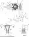 Fig. 09 - SYSTEM AND METHOD FOR DELIVERING THERAPEUTIC AGENTS TO THE UTERINE CAVITY