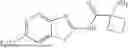 Fig. 117 - RILUZOLE PRODRUGS AND THEIR USE