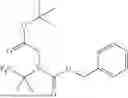 Fig. 306 - RILUZOLE PRODRUGS AND THEIR USE