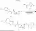 Fig. 84 - RILUZOLE PRODRUGS AND THEIR USE