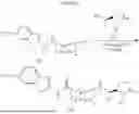 Fig. 86 - RILUZOLE PRODRUGS AND THEIR USE