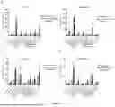 Fig. 04 - USE OF NAPHTHOQUINE PHOSPHATE IN PREPARATION OF A MEDICAMENT FOR TREATING AUTOIMMUNE DISEASES