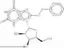 Fig. 255 - REACTIVE OXYGEN SPECIES MODULATION THROUGH BINDING OF LIGANDS AT THE NQ-BINDING SITE OF THE RESPIRATORY COMPLEX III