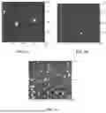 Fig. 02 - METHODS AND COMPOSITIONS FOR ADMINISTRATION OF IRON