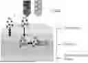 Fig. 01 - SKIN TREATMENT USING NO
