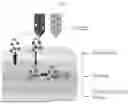 Fig. 02 - SKIN TREATMENT USING NO