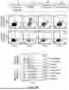 Fig. 19 - MULTI-SWITCH RECEPTOR ARRAYS AND METHODS FOR IMPROVING IMMUNE CELL FUNCTION