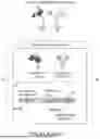 Fig. 26 - MULTI-SWITCH RECEPTOR ARRAYS AND METHODS FOR IMPROVING IMMUNE CELL FUNCTION