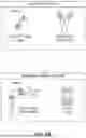 Fig. 43 - MULTI-SWITCH RECEPTOR ARRAYS AND METHODS FOR IMPROVING IMMUNE CELL FUNCTION