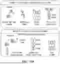 Fig. 45 - MULTI-SWITCH RECEPTOR ARRAYS AND METHODS FOR IMPROVING IMMUNE CELL FUNCTION