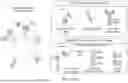 Fig. 53 - MULTI-SWITCH RECEPTOR ARRAYS AND METHODS FOR IMPROVING IMMUNE CELL FUNCTION