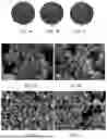 Fig. 02 - PHARMACEUTICAL COMPOSITION, MEGASPHAERA, AND USE THEREOF