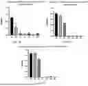 Fig. 04 - PHARMACEUTICAL COMPOSITION, MEGASPHAERA, AND USE THEREOF